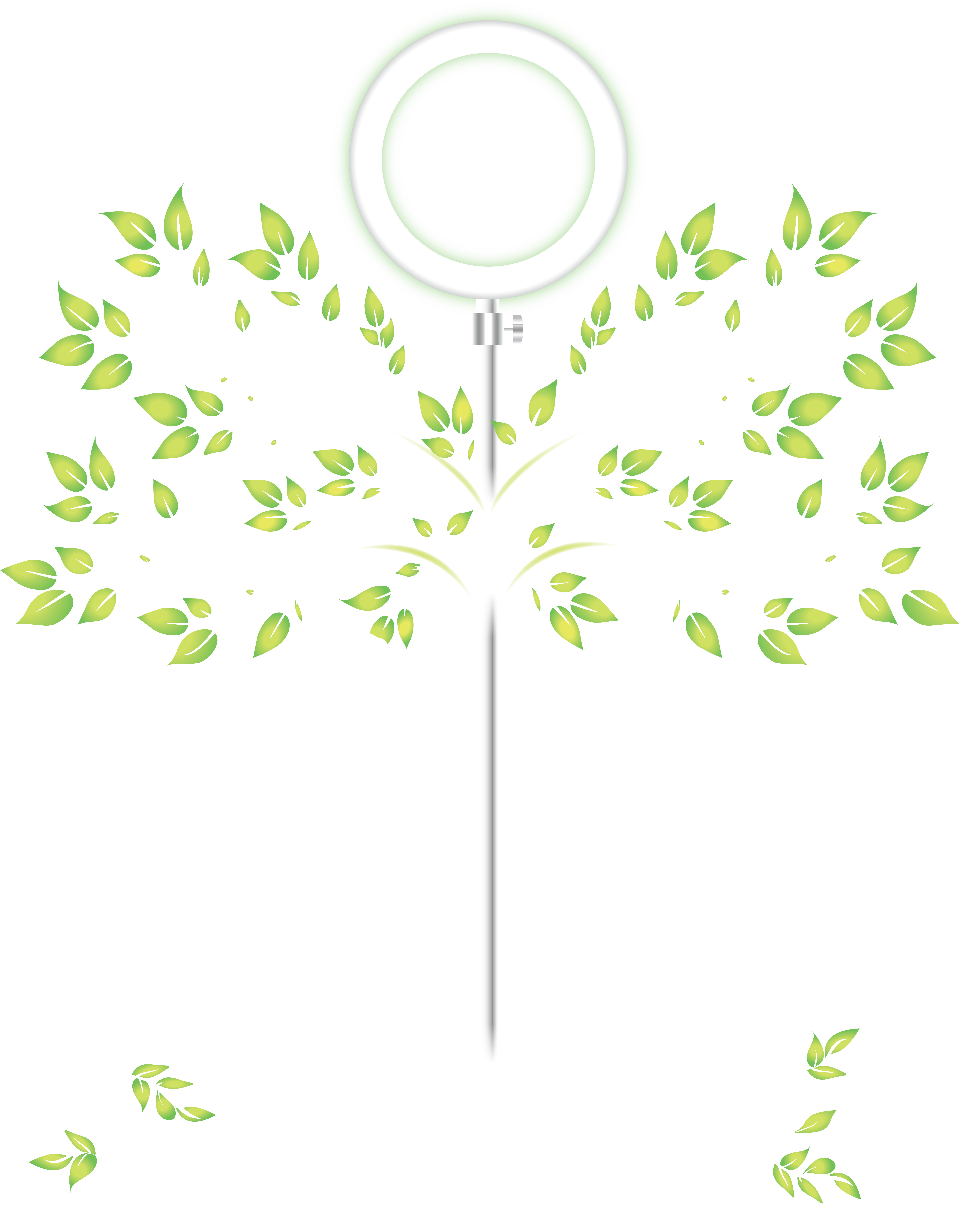 Saintree