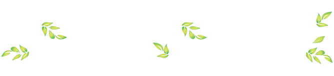 SaintStore